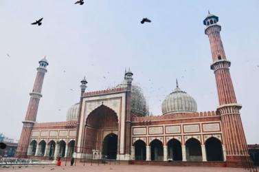 印度未婚證明公證認證用于中國登記結婚