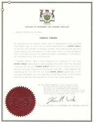 加拿大同一人聲明書三級使館認(rèn)證樣本