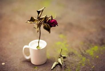 香港人在香港死亡，內地子女怎么辦理親屬關系證明用于公證處辦理財產(chǎn)繼承手續(xù)？