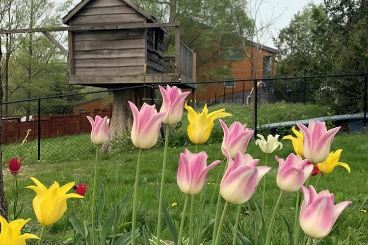 要繼承香港人在內(nèi)地的遺產(chǎn)怎么辦理親屬關系及遺囑狀況聲明書轉(zhuǎn)遞公證呢？ 