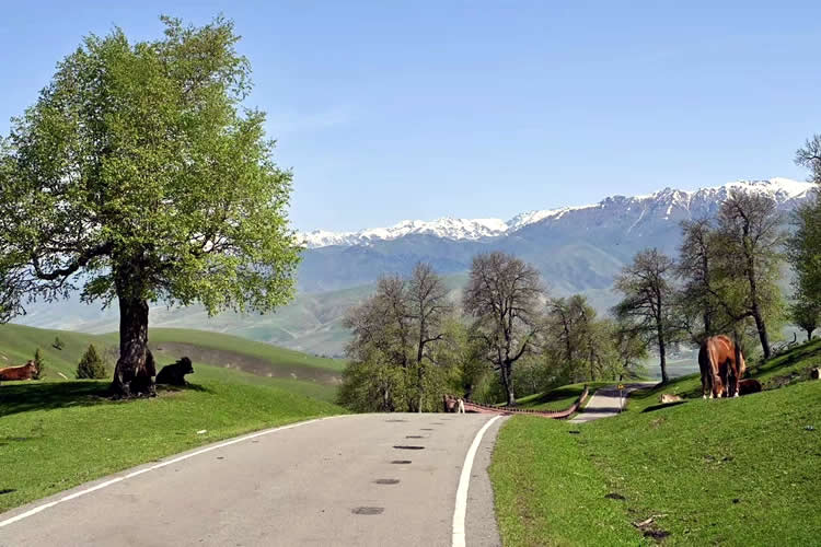 加拿大籍華人要在國(guó)內(nèi)貸款買房怎么辦理加拿大護(hù)照翻譯公證認(rèn)證？