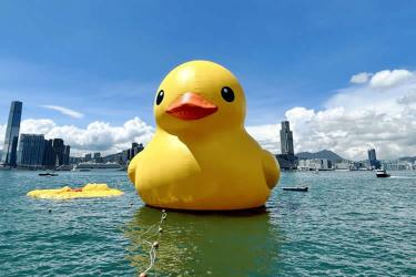 香港公司投資內(nèi)地要分別在北京、廣州及深圳設立公司怎么辦理香港公司轉(zhuǎn)遞公證呢？