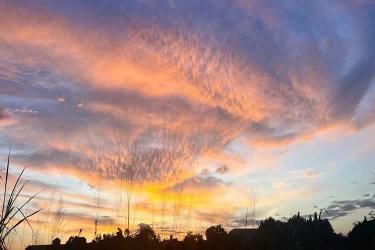 發(fā)生糾紛要在內(nèi)地法院打官司怎么公證香港死亡證是真實(shí)的呢？