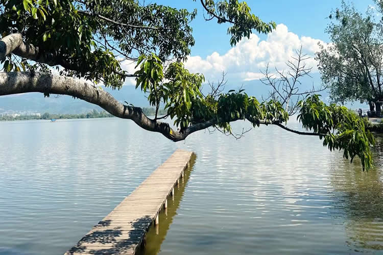 要怎么辦理香港已故人士在香港沒有婚姻及任何子女的聲明公證書用于在內(nèi)地法院訴訟呢？