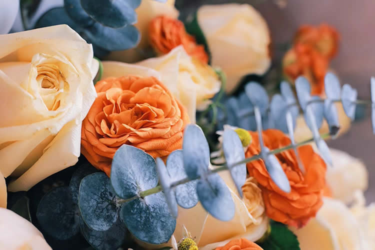 香港死亡證加章轉(zhuǎn)遞公證用于在廣州辦理遺產(chǎn)繼承公證書