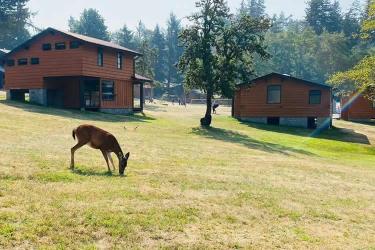 香港結婚證公證用于在內(nèi)地辦理配偶死亡公證書