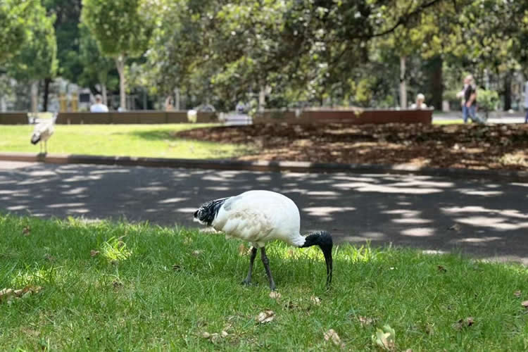 臺灣居民如何做在中國內(nèi)地?zé)o犯罪公證書用于辦理申請美國工作簽證呢