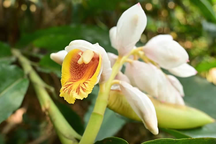 香港人要把內(nèi)地的房產(chǎn)加上配偶名字怎么做香港結(jié)婚證公證呢？