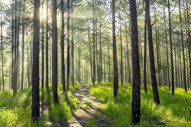 內(nèi)地人的香港離婚絕對(duì)判令要如何做公證用于跟銀行申請(qǐng)貸款呢？