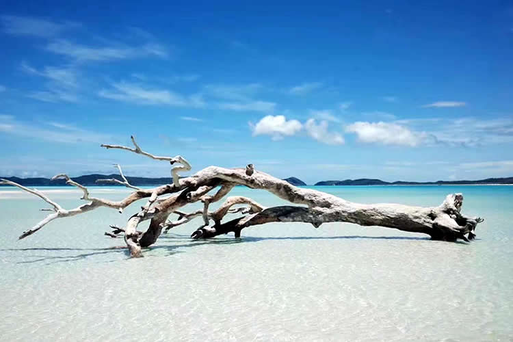 香港親屬關(guān)系及遺囑狀況聲明書公證用于在廣州辦理房產(chǎn)轉(zhuǎn)名手續(xù)