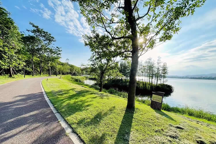 香港護(hù)照怎么辦理海牙認(rèn)證用于到馬來西亞讀書呢？