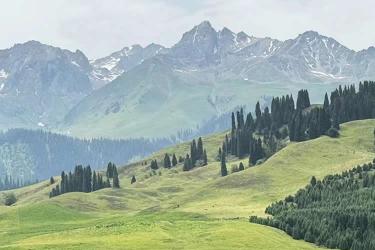 在美國(guó)的臺(tái)灣同胞如何辦理中國(guó)內(nèi)地?zé)o犯罪記錄公證書用于申請(qǐng)美國(guó)簽證？