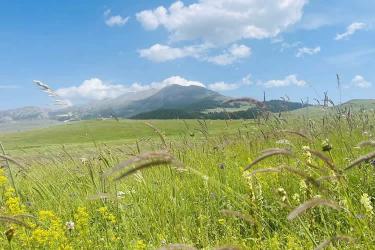 中國公民在美國離婚現(xiàn)要更改婚姻狀況怎么辦理美國離婚判決書海牙認證？