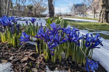 中國公民是在荷蘭結(jié)婚的現(xiàn)要離婚怎么辦理公證及海牙認證手續(xù)呢？