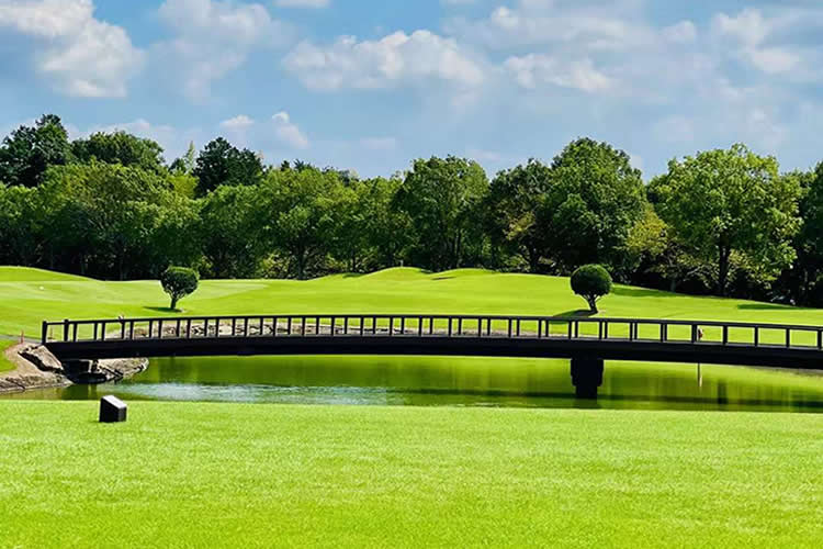 內(nèi)地出生且父母已故的香港人要移民愛爾蘭怎么辦理出生公證附加證明書呢？