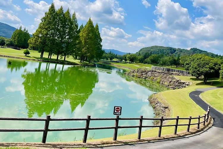 比利時出生紙怎么辦理香港海牙認證用于在澳門讀書呢？