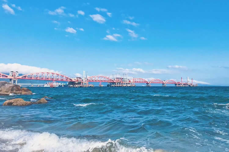 英國公民怎么辦理放棄繼承遺產(chǎn)聲明書公證海牙認證呢？