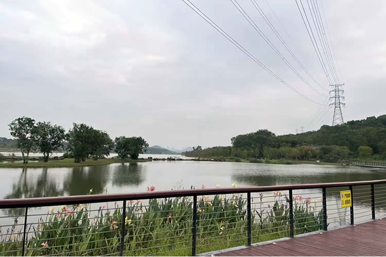 香港居民如何辦理放棄個(gè)人房產(chǎn)份額聲明書公證呢？