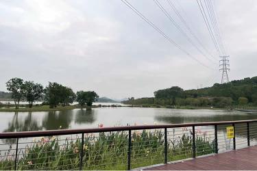 香港居民如何辦理放棄個(gè)人房產(chǎn)份額聲明書公證呢？