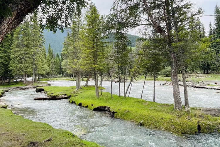 中國公民要在越南設(shè)立公司怎么在香港辦理中國護照越南公證雙認證手續(xù)呢？