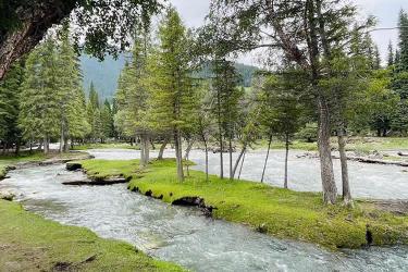 中國公民要在越南設立公司怎么在香港辦理中國護照越南公證雙認證手續(xù)呢？
