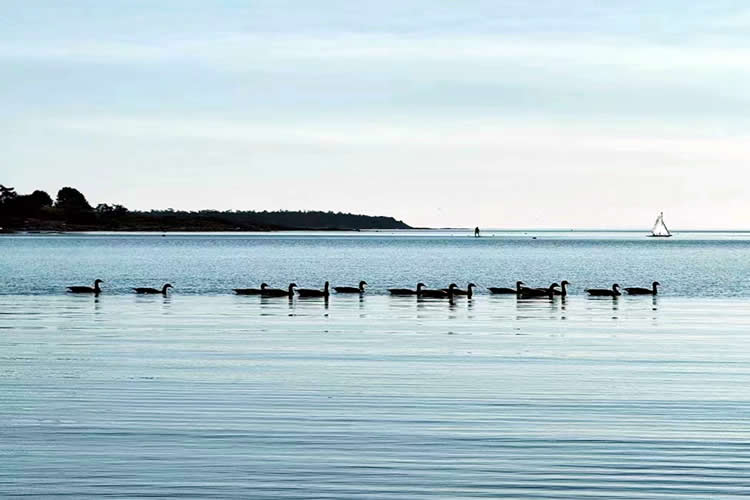 香港人的美國離婚證明文件怎么辦理美國海牙認證Apostille手續(xù)呢？