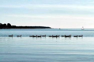 香港人的美國(guó)離婚證明文件怎么辦理美國(guó)海牙認(rèn)證Apostille手續(xù)呢？