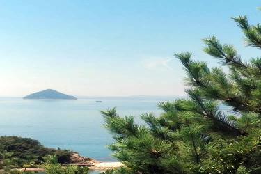 堂侄子要繼承香港姑媽去世后的內(nèi)地遺產(chǎn)怎么做親屬關(guān)系及遺囑狀況聲明書公證呢？