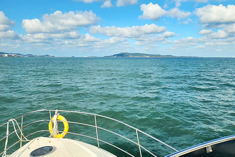 中國公民移民新加坡后怎么辦理新加坡護(hù)照和原中國身份證是同一人證明公證